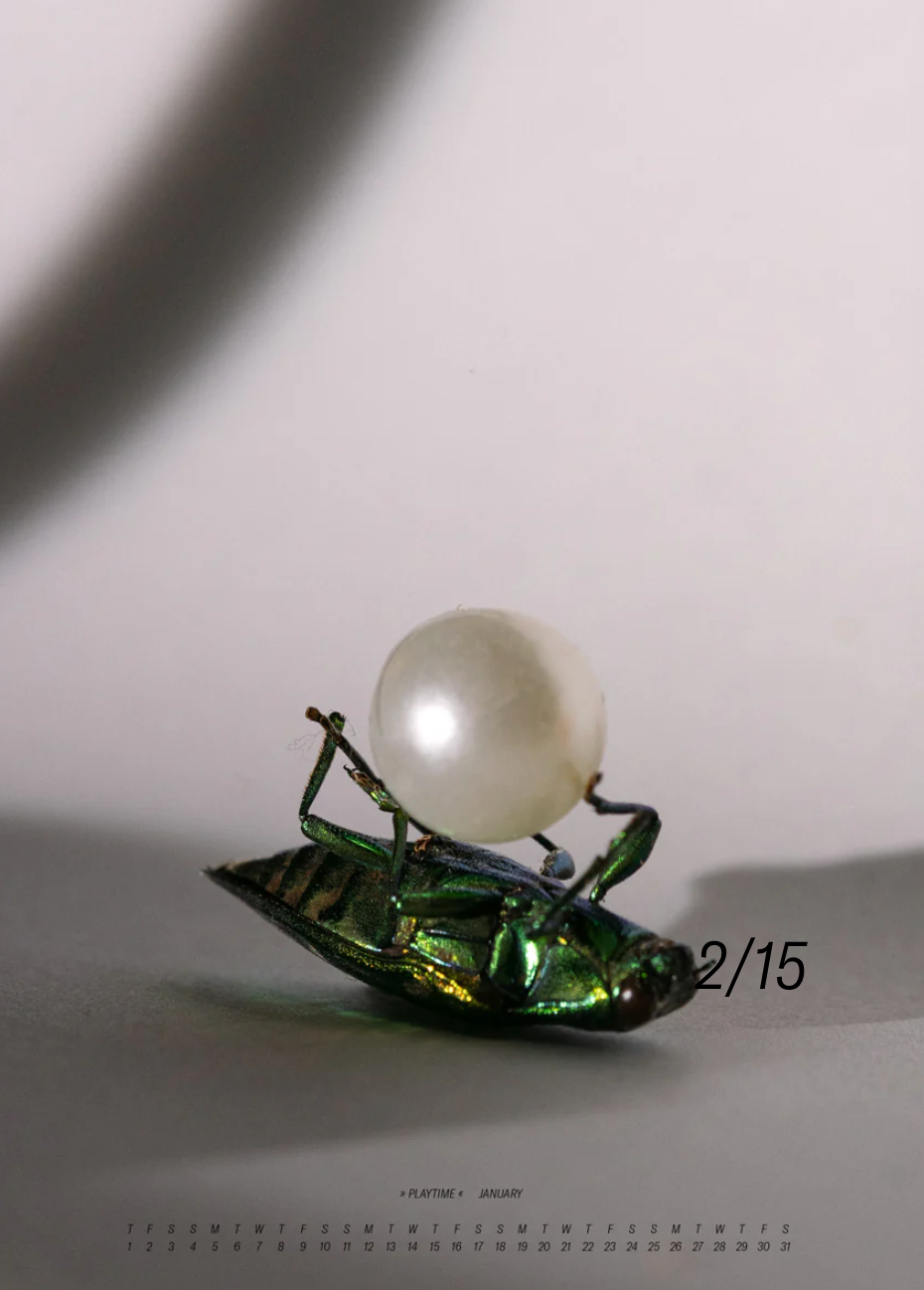 Sarah Illenberger Calendar 2026