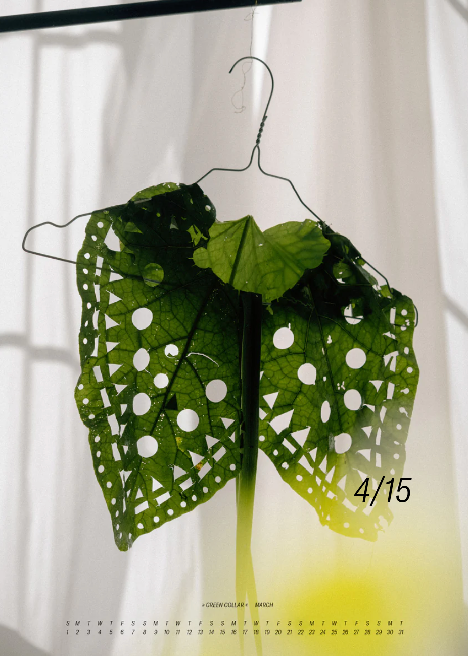 Sarah Illenberger Calendar 2026