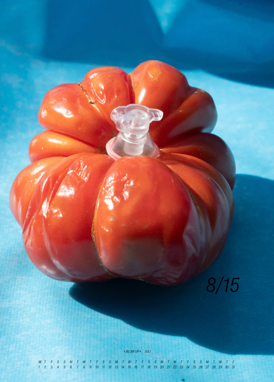 Sarah Illenberger Calendar 2026