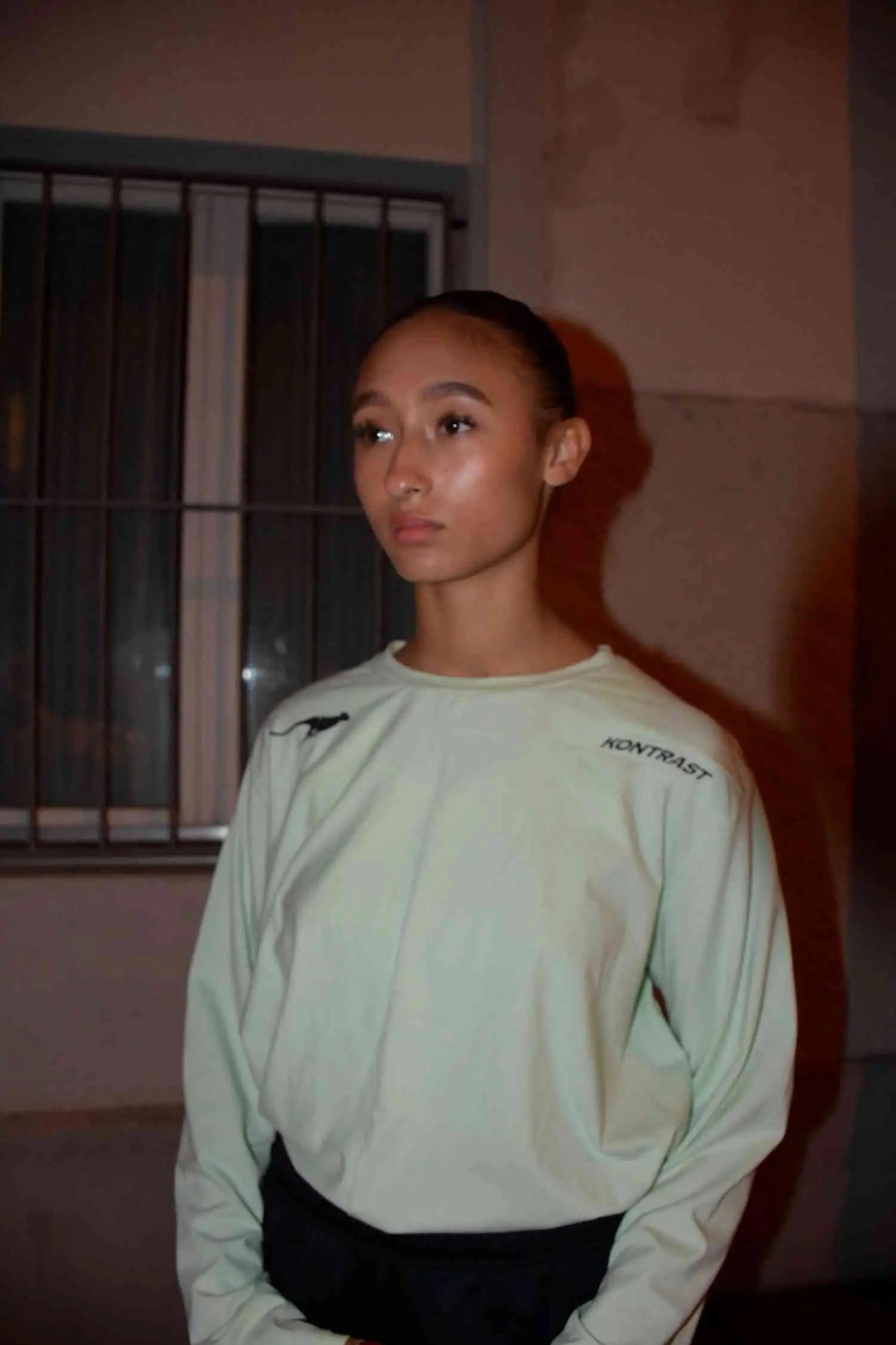 Cheetah Longsleeve Kontrastsupply