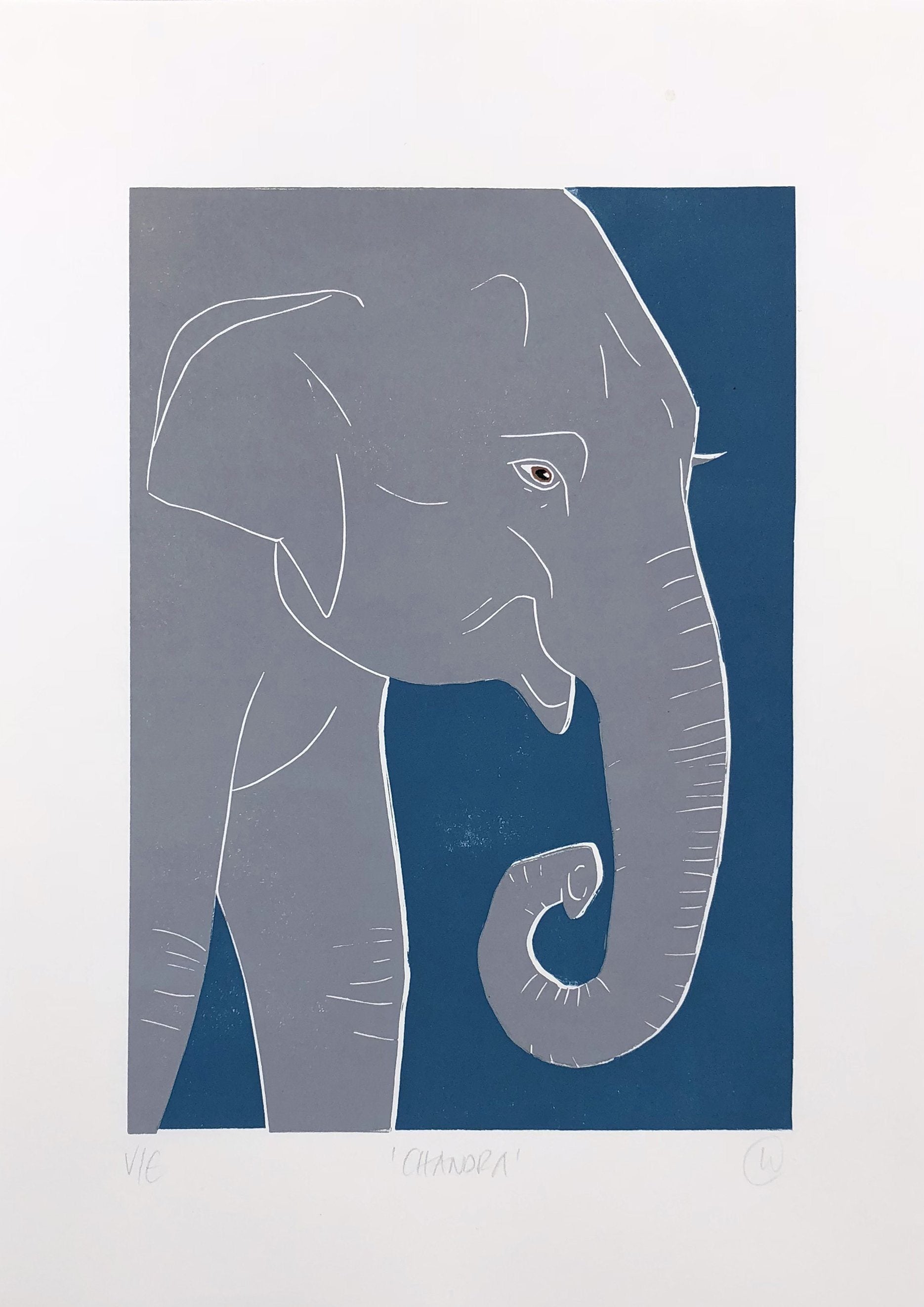 Linostudio Print ,Chandra the Elefant' - Zirkuss